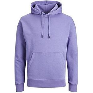 JACK & JONES sweatshirt met capuchon heren