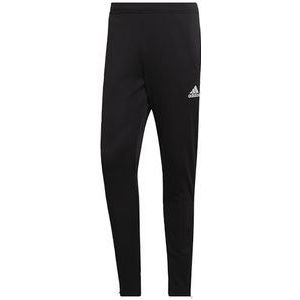 adidas Entrada 22 Training Tracksuit Bottoms, Heren, Black, M Tall