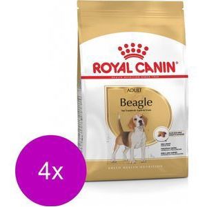 Royal Canin Bhn Beagle Adult - Hondenvoer - 4 x 3 kg
