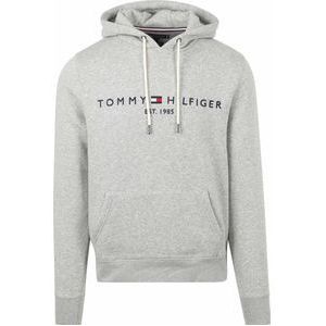 Tommy Hilfiger Hoodie Core Grijs