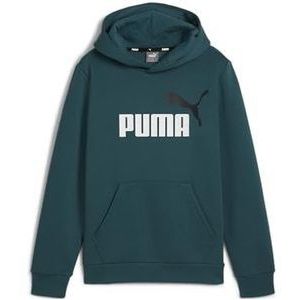 PUMA ESS+ 2 Col Big Logo Hoodie FL B