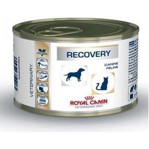 Royal Canin Recovery Feline/Canine - Kattenvoer - 12 x 195 g
