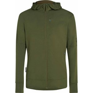 Icebreaker - Wandel- en bergsportkleding - M Merino 260 Quantum IV LS Zip Hoodie Loden voor Heren van Wol - Maat XL - Groen