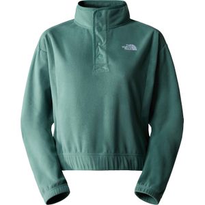 The North Face - Dames sweatshirts en fleeces - W Homesafe Snap Neck Fleece Pullover Dark Sage voor Dames - Maat XS - Groen