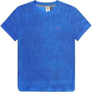 Picture Organic Clothing - Dames t-shirts - Carrella Tee Skydiver voor Dames van Katoen - Maat XS - Blauw
