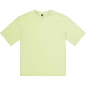 Picture Organic Clothing - Dames t-shirts - Maogany Tee Winter Pear voor Dames van Katoen - Maat S - Groen