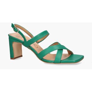 Altramarea Rozalia Groen