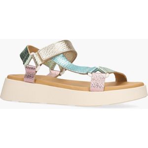 Cypres Wanika Multicolor