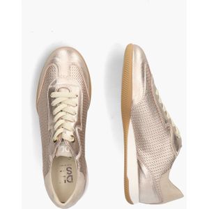 Dl-sport 6256 Goud