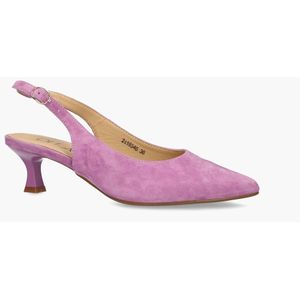 Di Lauro Rebecca Paars