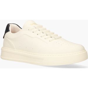 Barracuda Phoenix Wit