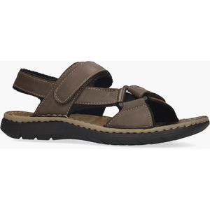 Cypres Waldemar Donkerbruin