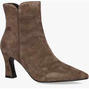 Di Lauro Sterre Bruin