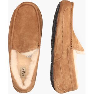 Ugg Ascot  Chestnut s