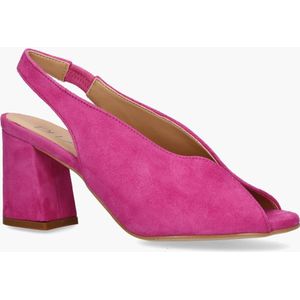 Altramarea Rosette Roze