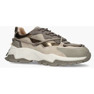 Dwrs Channing Beige/Multicolor