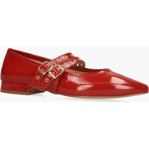 Di Lauro Wishna Rood