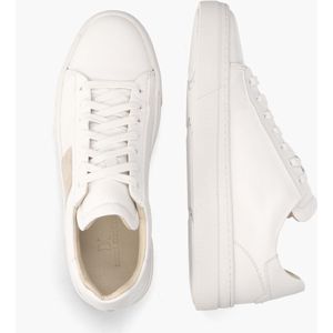 Daniel Kenneth Teun Wit/Taupe