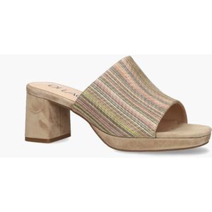 Vivian Ray Toria Beige/Multicolor