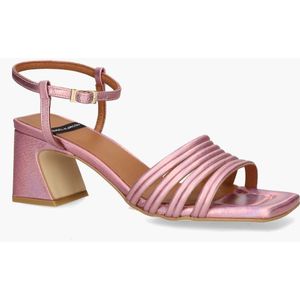 Angel Alarcon Astro Roze