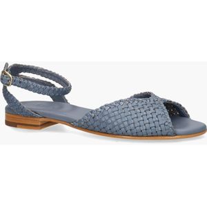 Allan K Pulla Lichtblauw