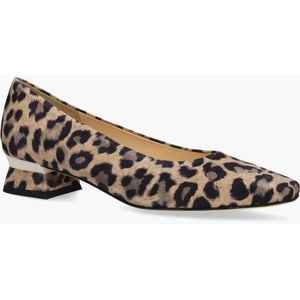 Brunate 32170 Bruin/Zwart