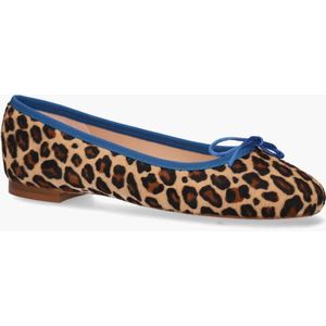 Di Lauro 100 Bruin/Multicolor