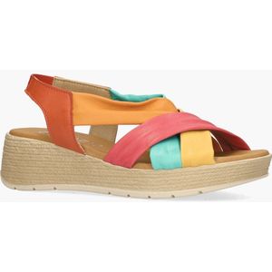 Cypres Aires Multicolor