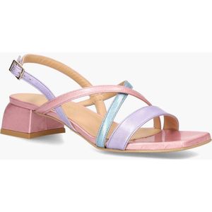 Platone 3000 Lichtroze/Multicolor