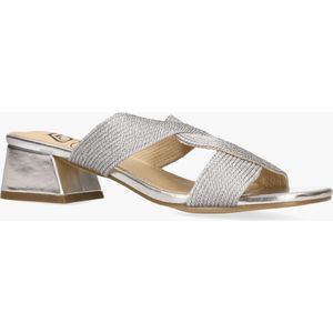 Lisa&Jo Warish Zilver