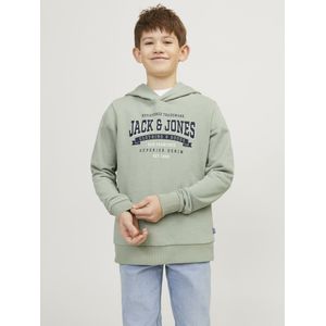 JACK&JONES JUNIOR Truien & sweaters Groen