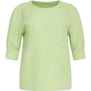 SMASHED LEMON Truien & sweaters Groen