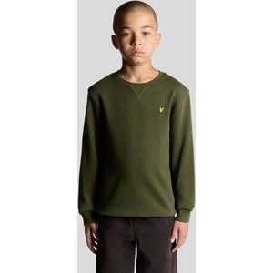 LYLE AND SCOTT Truien & sweaters Groen