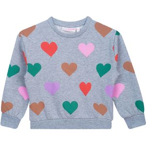 SOMEONE Truien & sweaters Grijs