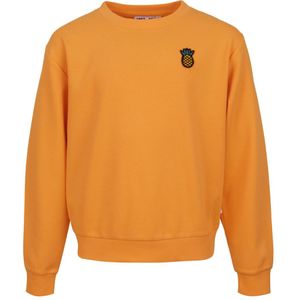 SOMEONE Truien & sweaters Oranje