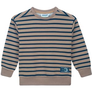 SOMEONE Truien & sweaters Bruin