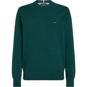 TOMMY HILFIGER Truien & sweaters Groen