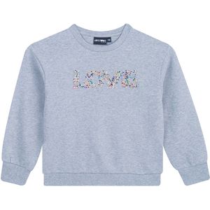 SOMEONE Truien & sweaters Grijs