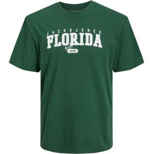 JACK&JONES JUNIOR T-Shirts Groen