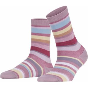 FALKE Steady stripe dames sokken Purple