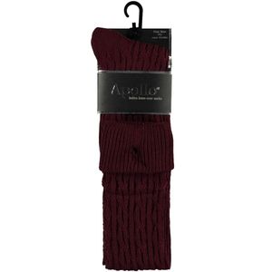 Apollo Overknee kousen met kabel Bordeaux