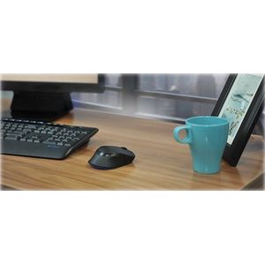 LOGITECH Wireless Combo MK345 CZE