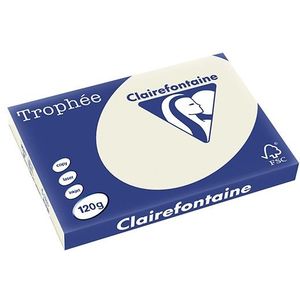 Clairefontaine gekleurd papier parelgrijs 120 grams A3 (250 vel)
