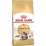 Royal Canin Maine Coon Adult - Kattenvoer - 10 kg