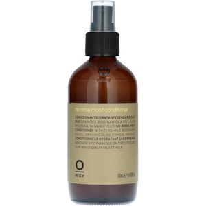 Oway No-Rinse Moist Conditioner 160 ml