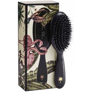 Fan Palm Hair Brush Small Stardust