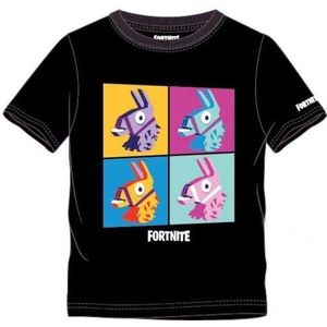 Fortnite - Coloured Llama Black Kids T-Shirt