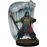 Dungeons & Dragons Icons of the Realms - Male Water Genasi Druid Premium Figure