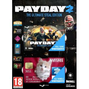 Payday 2 (Download Code)