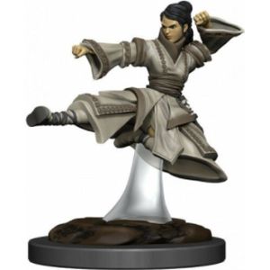 Dungeons & Dragons Icons of the Realms - Female Human Monk Premium Figure